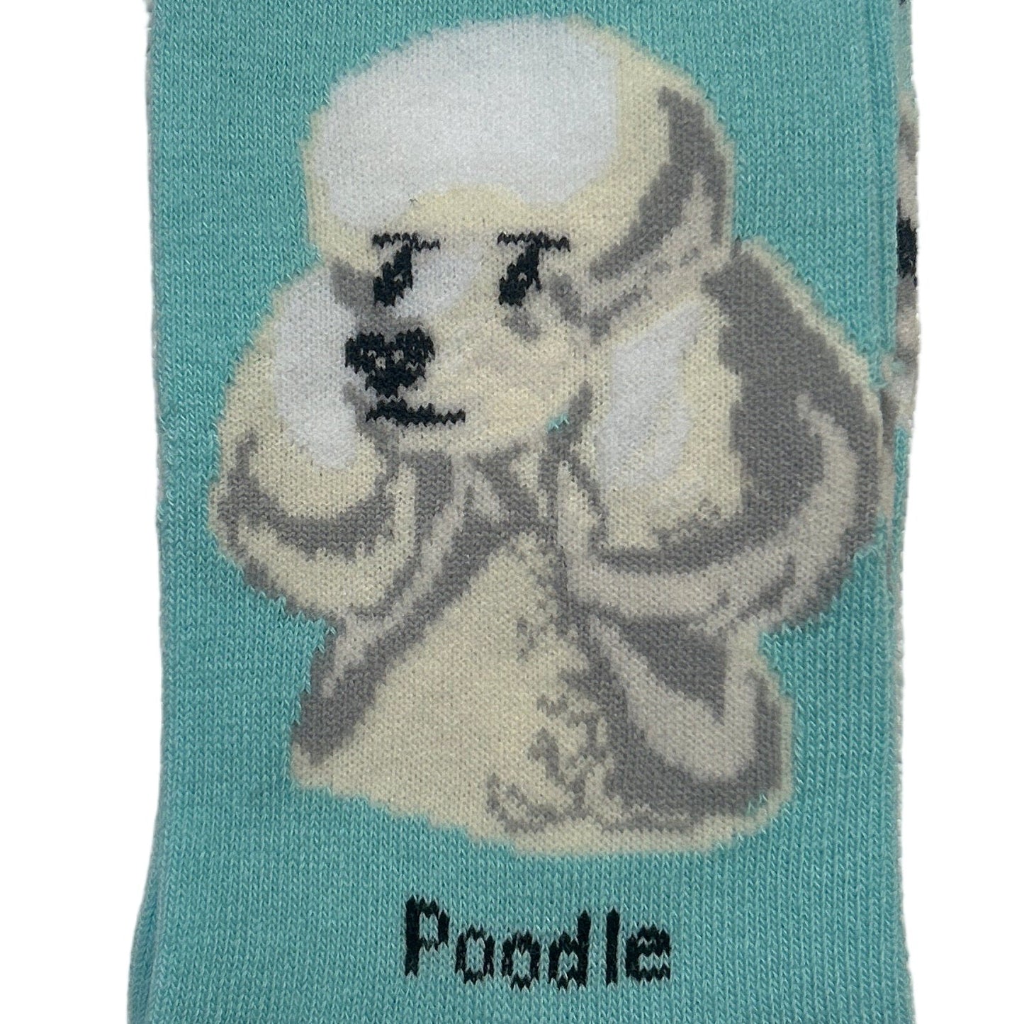 Teal sock with poodle design and 'Socks By Lucy' packaging