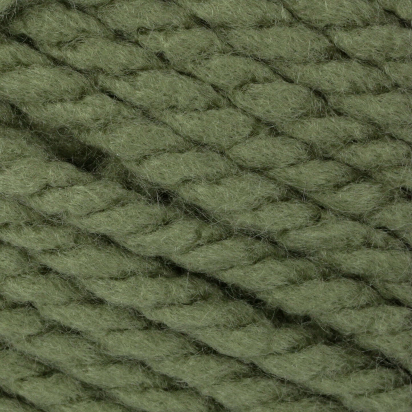 Bernat Softee Chunky Yarn - Forest