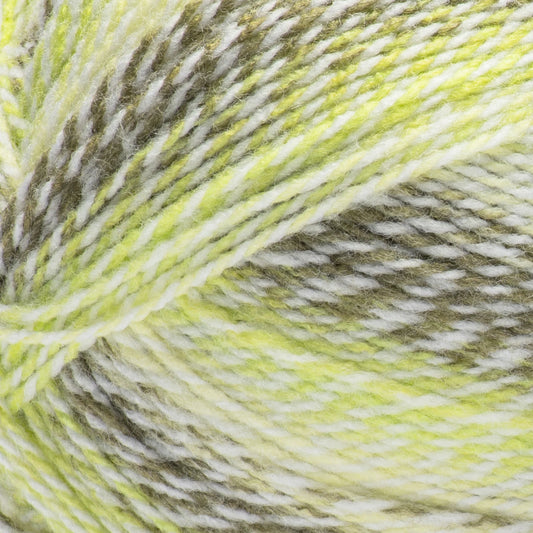 Bernat Sport Ombré Twist Yarn - Lichen Green
