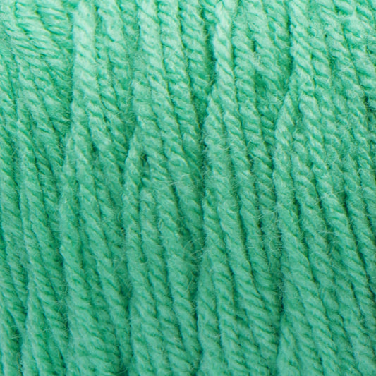 Bernat Premium Yarn - Tropical Turquoise