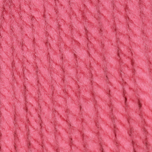 Caron One Pound Yarn Skein - Rose