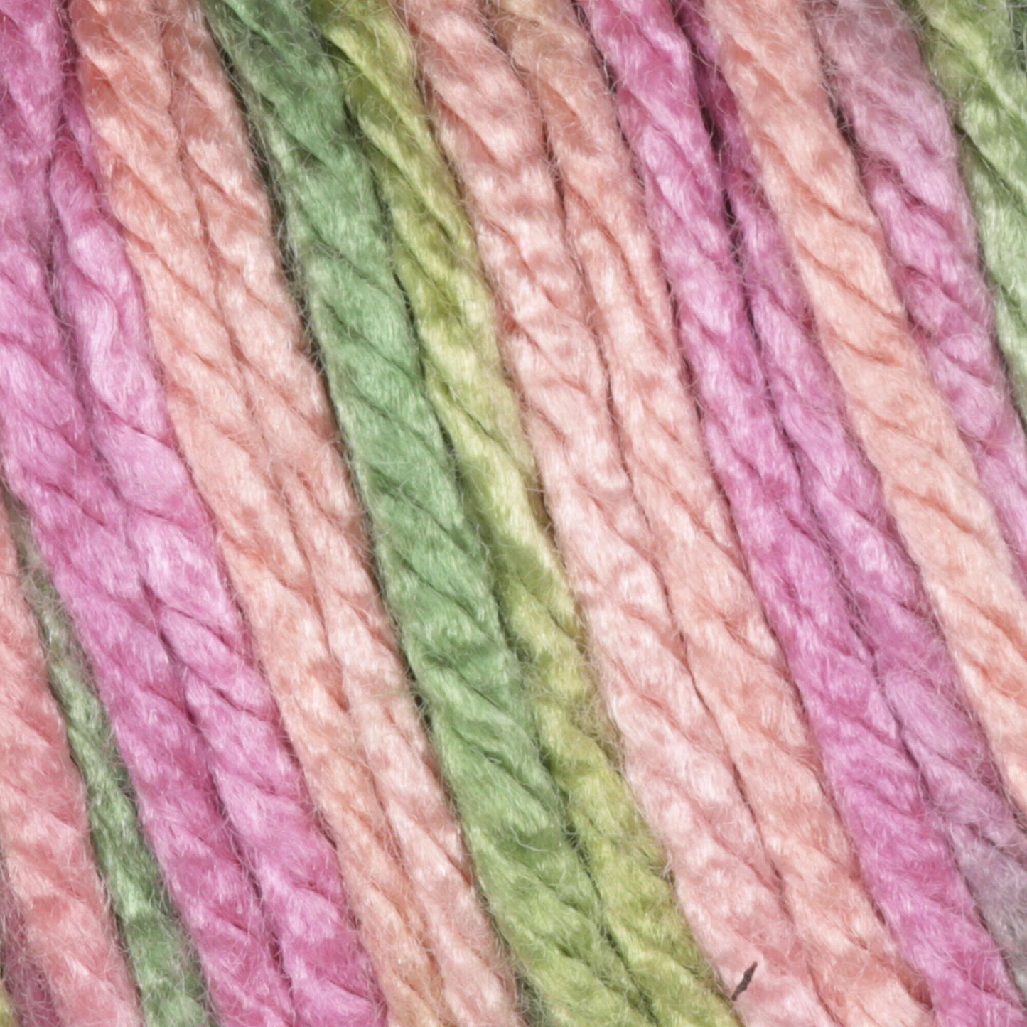 Caron Simply Soft Paint Yarn - Rose Garden