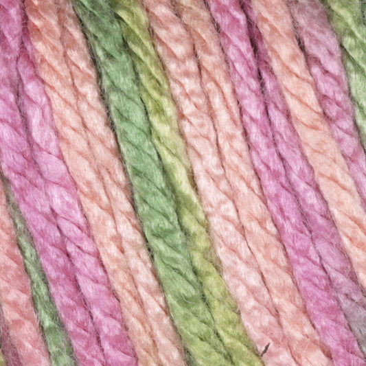 Caron Simply Soft Paint Yarn - Rose Garden