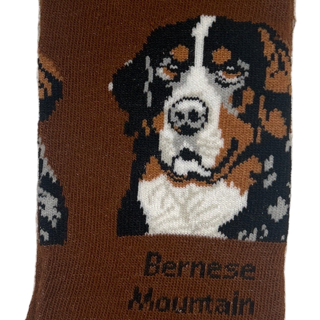 Sock with Bernese Mountain dog design and 'Woof' text, branded 'Socks By Lucy'.