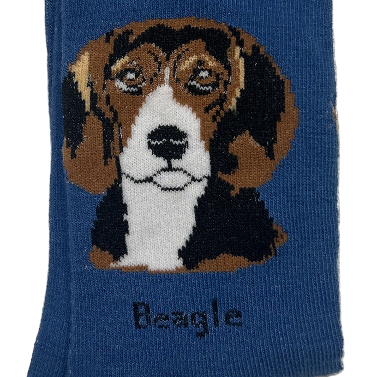 Blue sock with beagle design and brand label on a textured surface