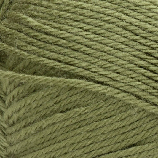 Red Heart Soft Yarn - Leaf