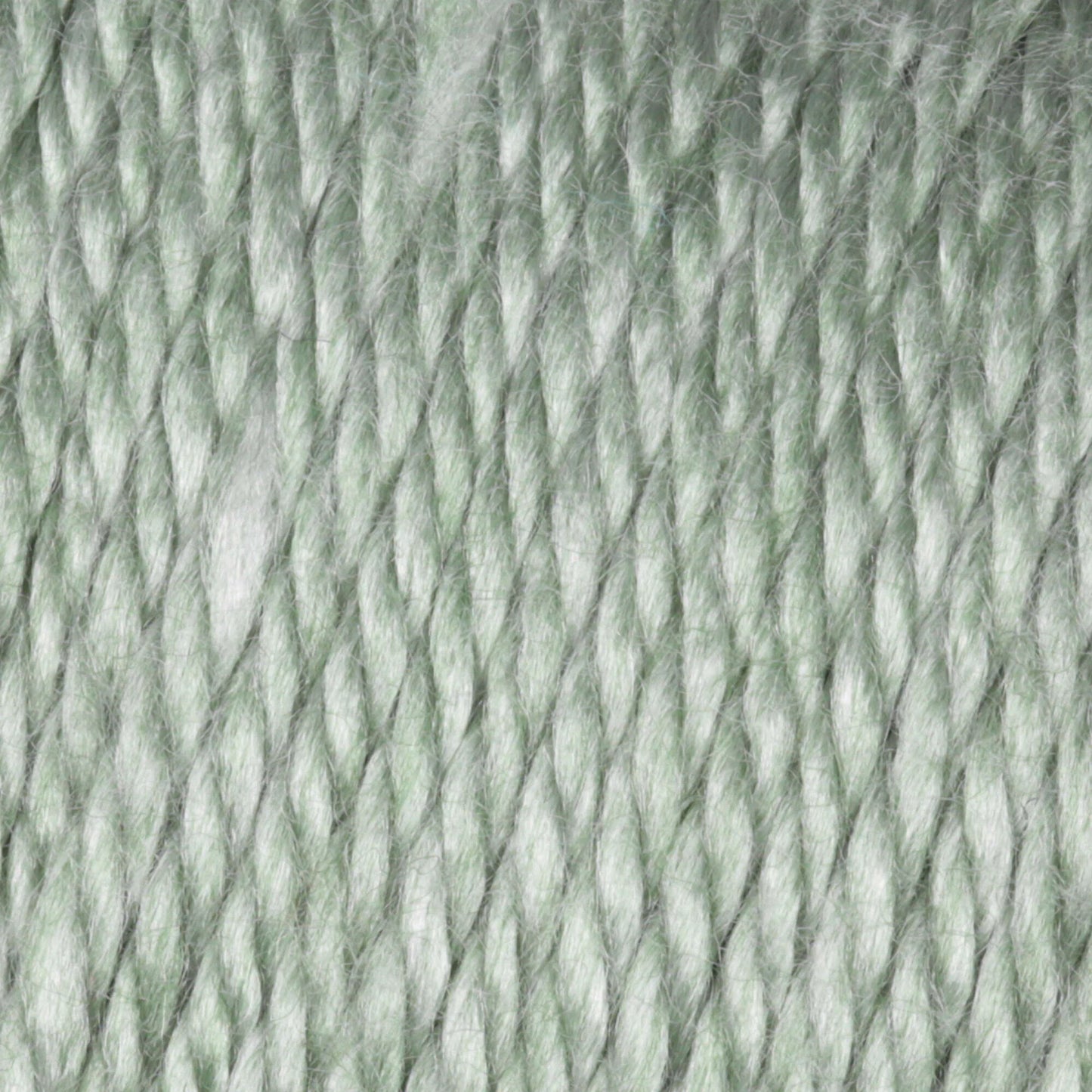 Caron Simply Soft Heathers Yarn - Woodland Heather