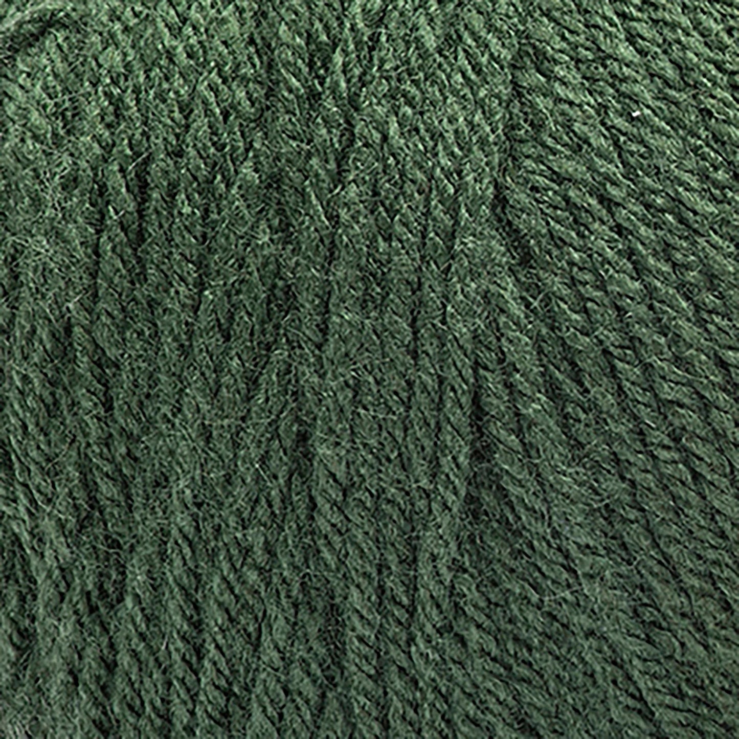 Red Heart Super Saver Yarn Skein - Medium Thyme 7 oz