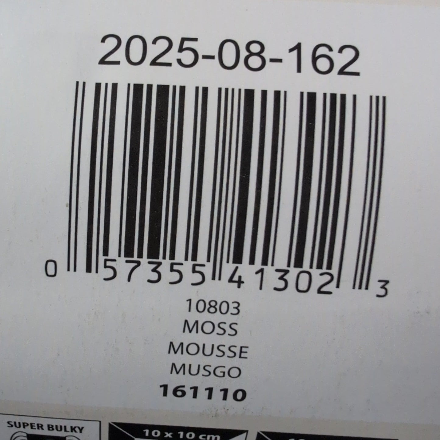 Bernat Blanket Yarn Skein - Moss 300g