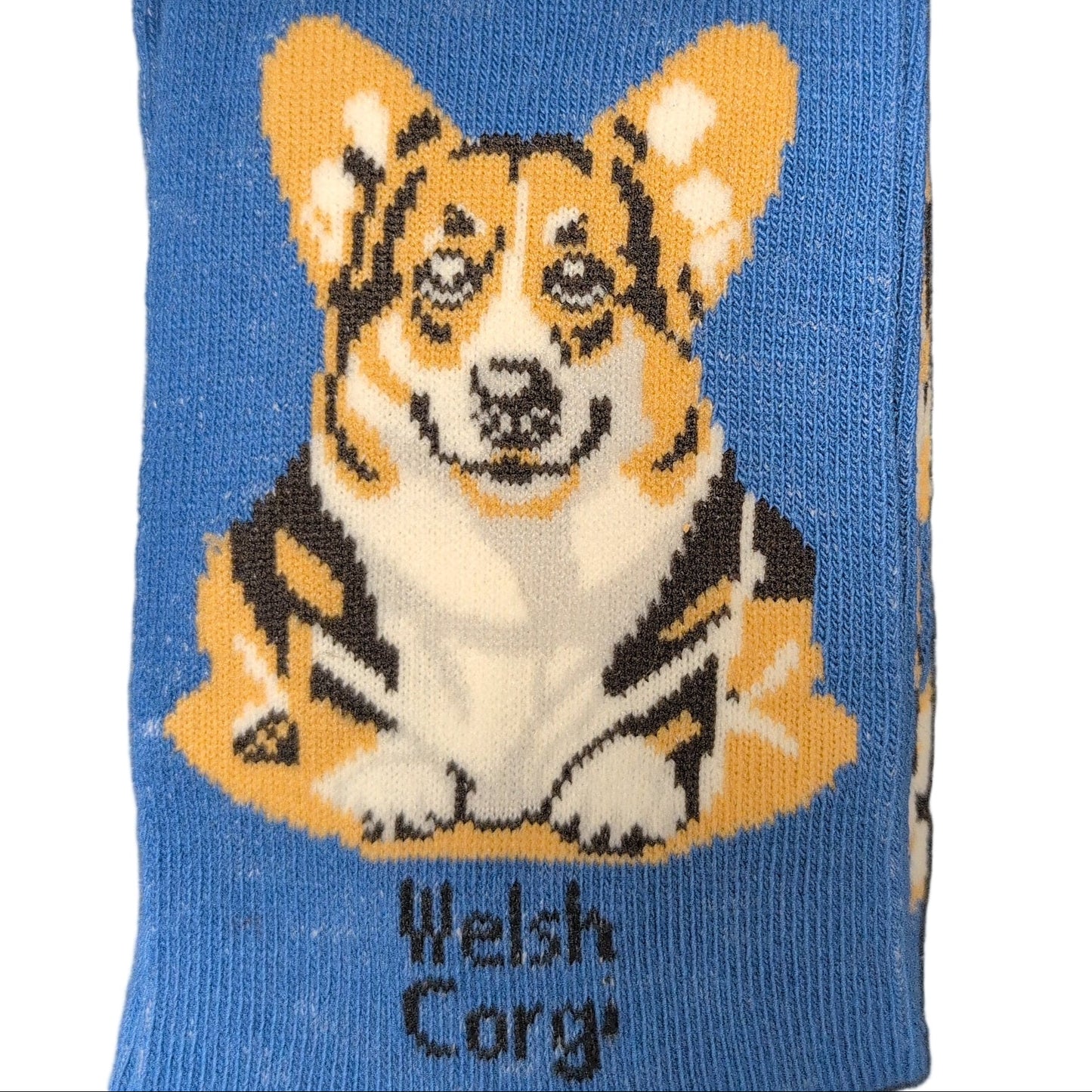 Sock with a Welsh Corgi design and 'Socks By Lucy' packaging on a white background