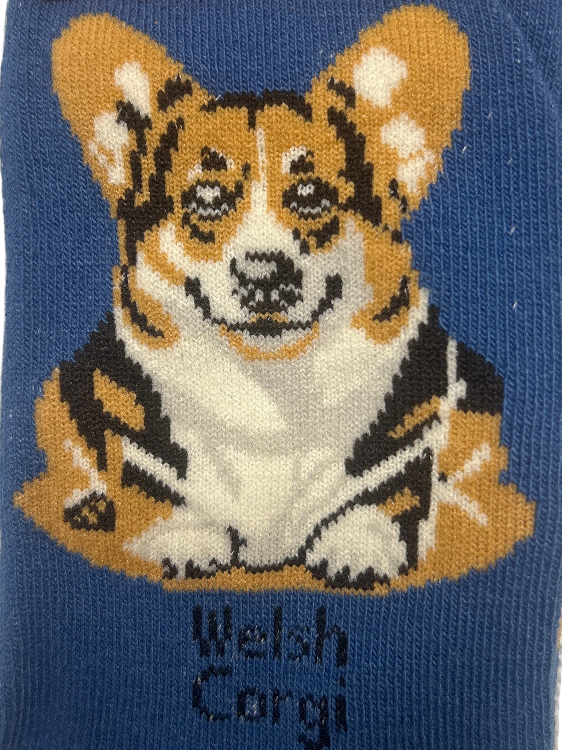 Blue sock with a Welsh Corgi design and 'Socks By Lucy' label on a white background