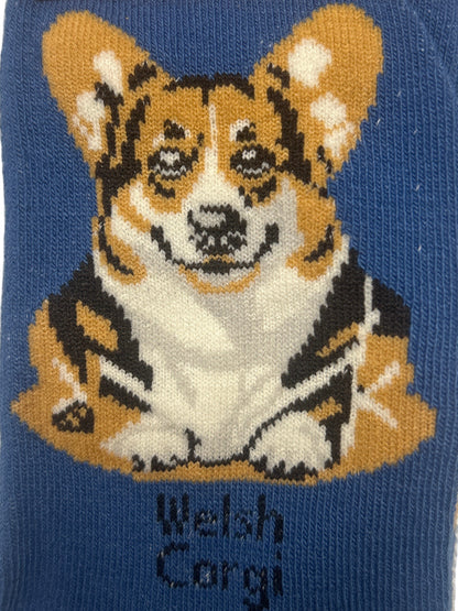 Blue sock with a Welsh Corgi design and 'Socks By Lucy' label on a white background