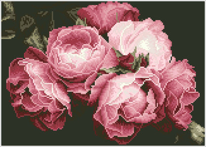 Vintage Roses (Square) - Diamond Dotz Art Kit - 16” x 12”