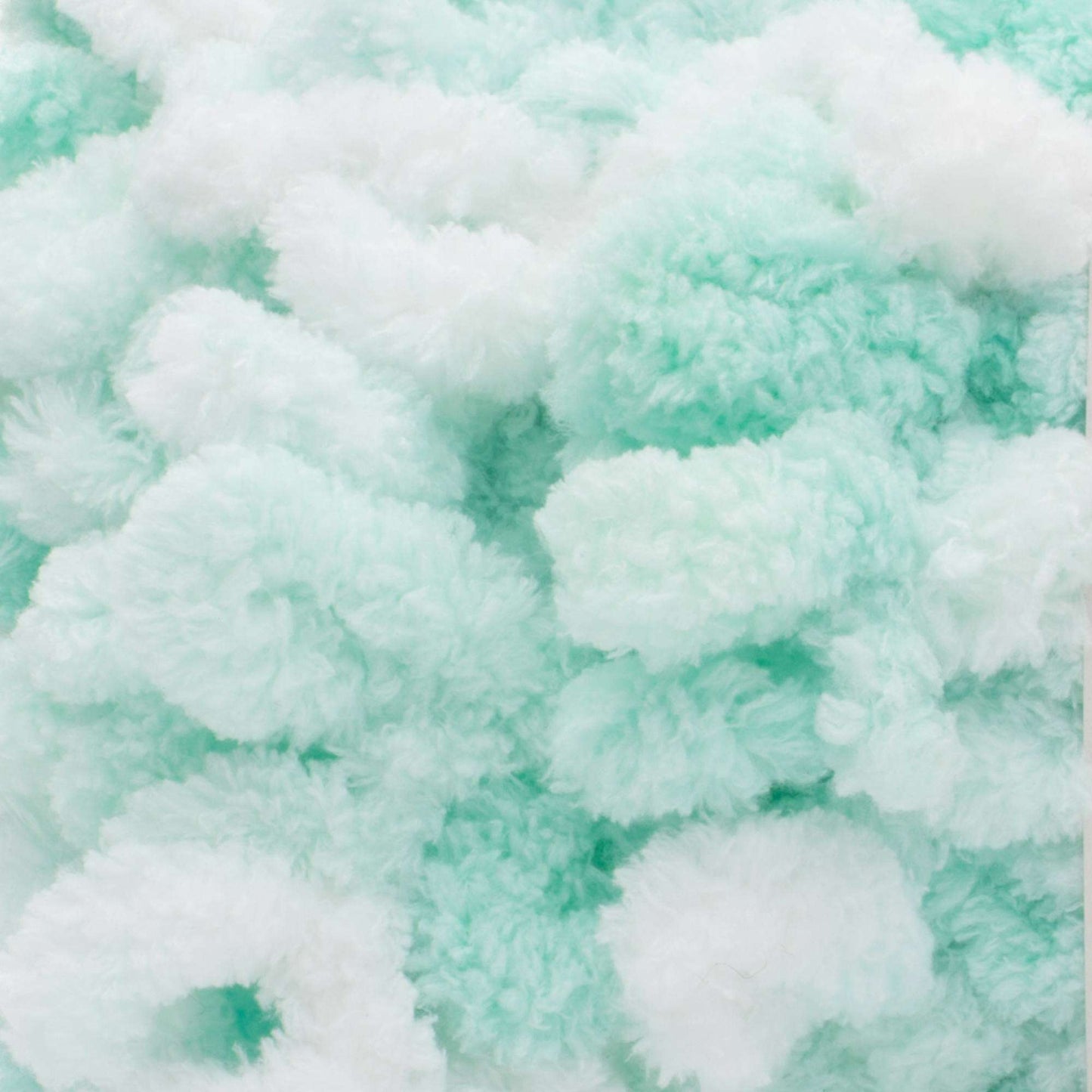 Bernat Alize Blanket-EZ Yarn - White & Mint