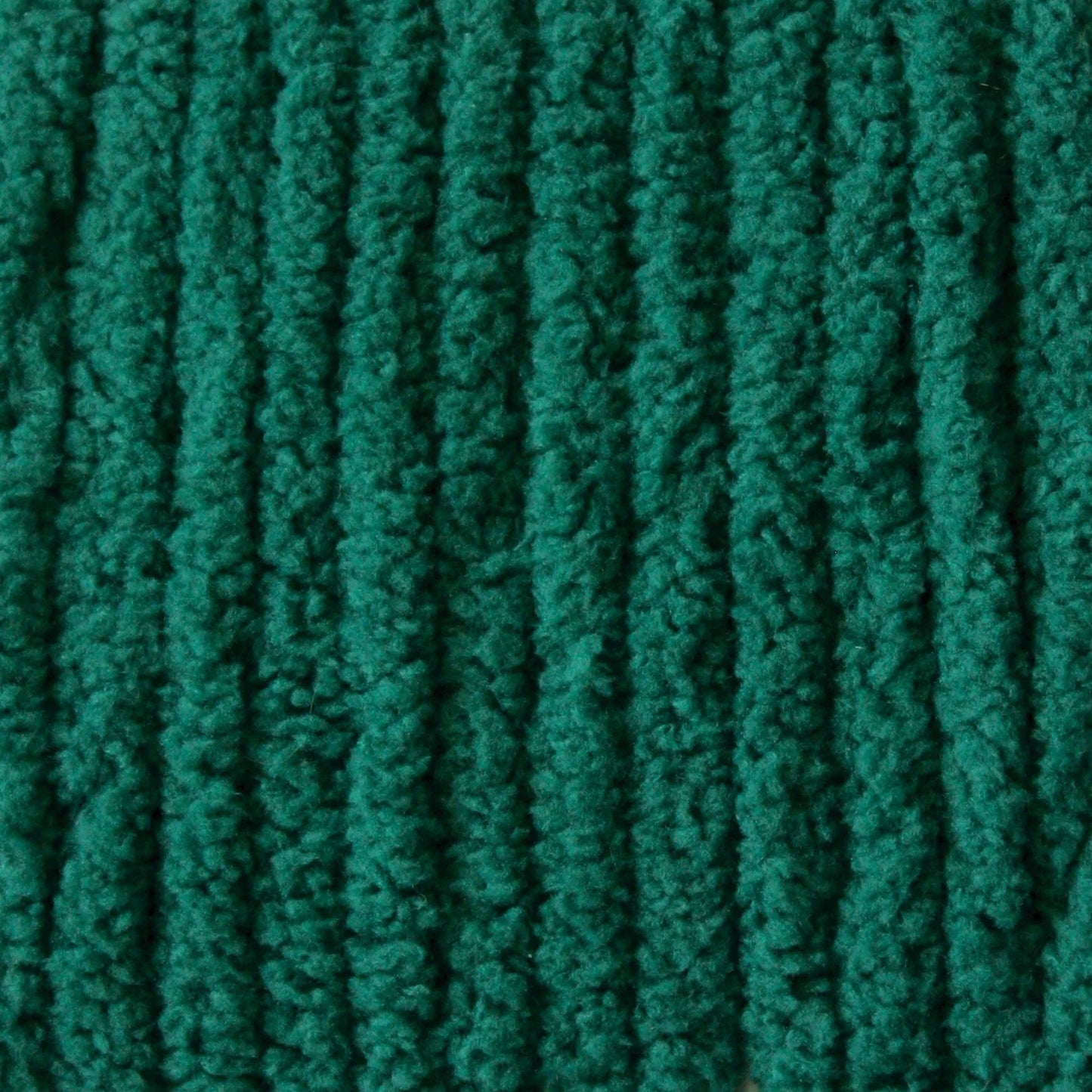 Bernat Blanket Yarn Skein - Malachite 300g