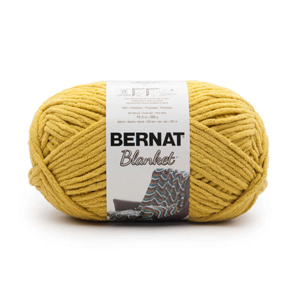 Bernat Blanket Yarn Skein - Moss 300g