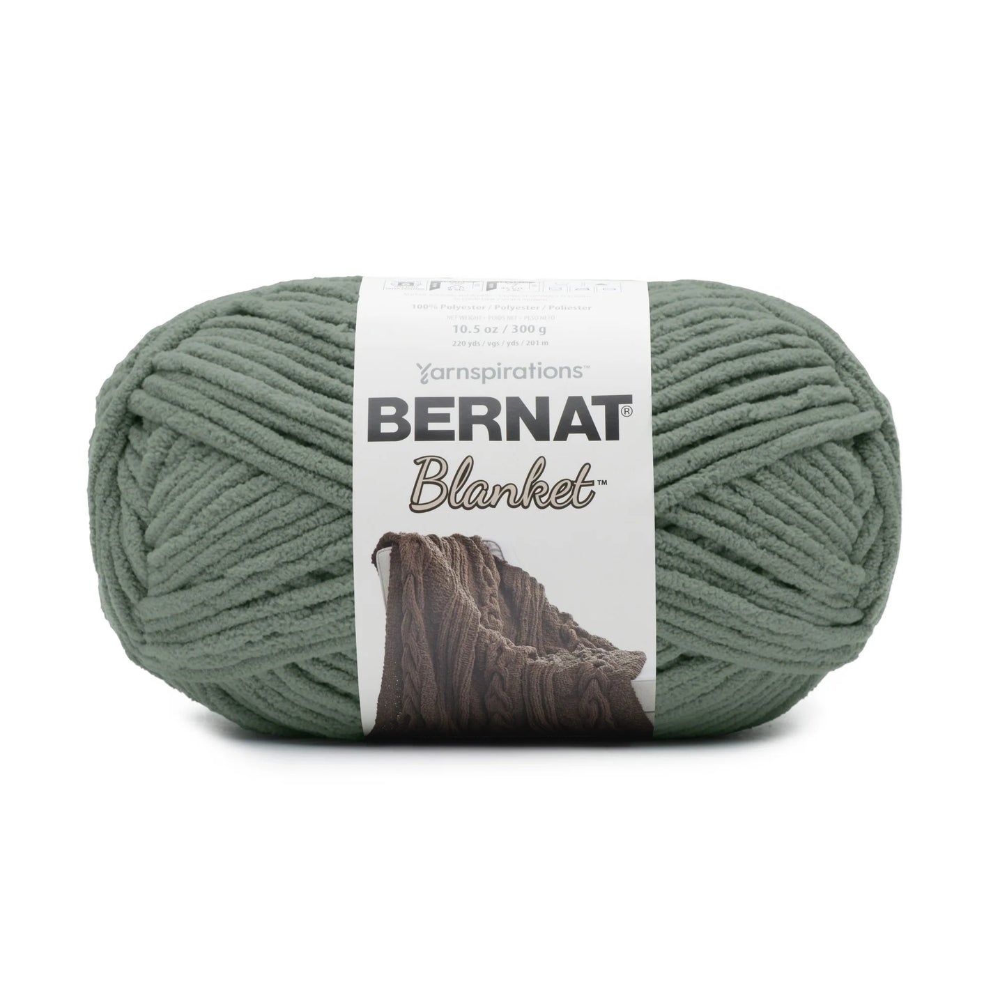 Bernat Blanket Yarn Skein - Smokey Green 300g