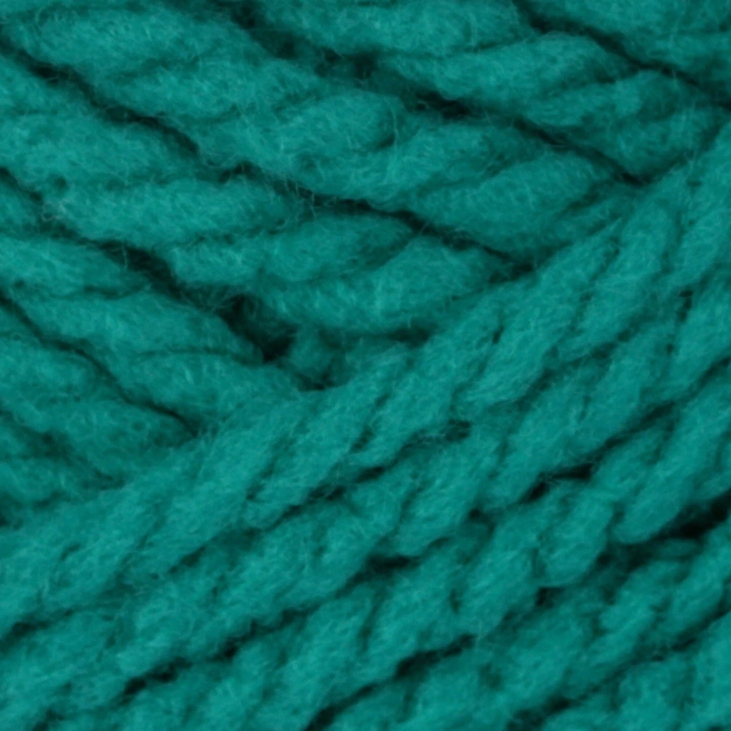 Bernat Softee Chunky Yarn - Emerald