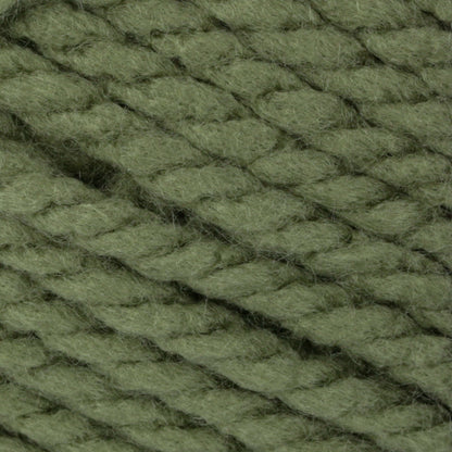 Bernat Softee Chunky Yarn - Forest
