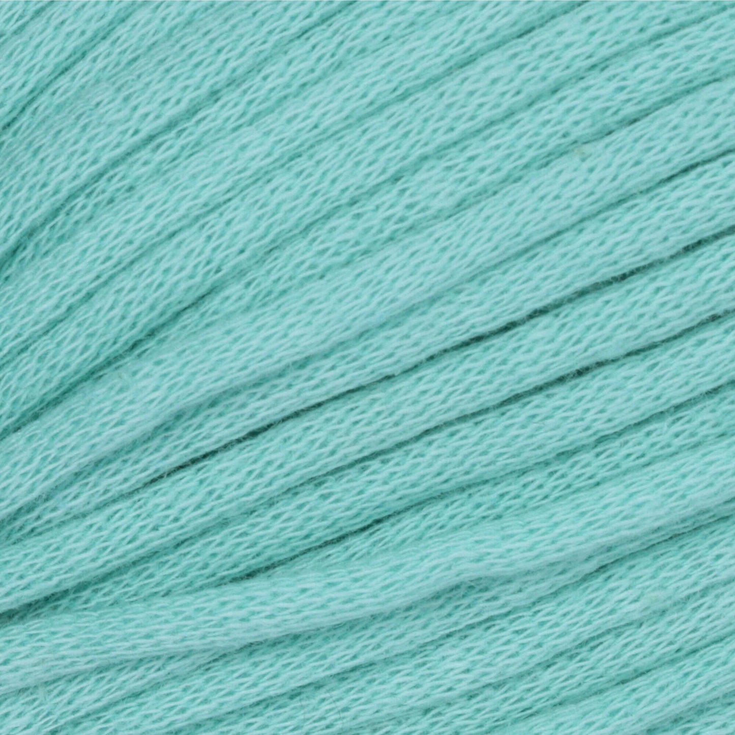 Bernat Maker Home Dec Yarn Skein - Aqua