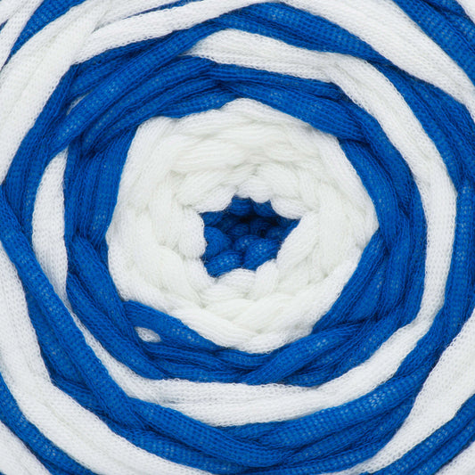 Bernat Maker Outdoor Yarn Skein - Fresh Royal Blue Stripe