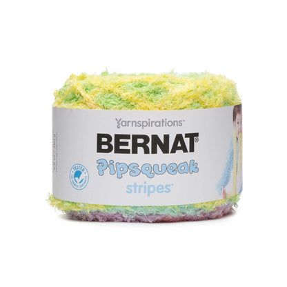 Bernat Pipsqueak Stripes Yarn - Birdsong