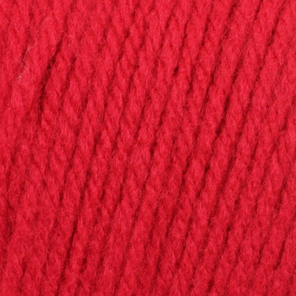 Bernat Super Value Yarn Skein - Berry