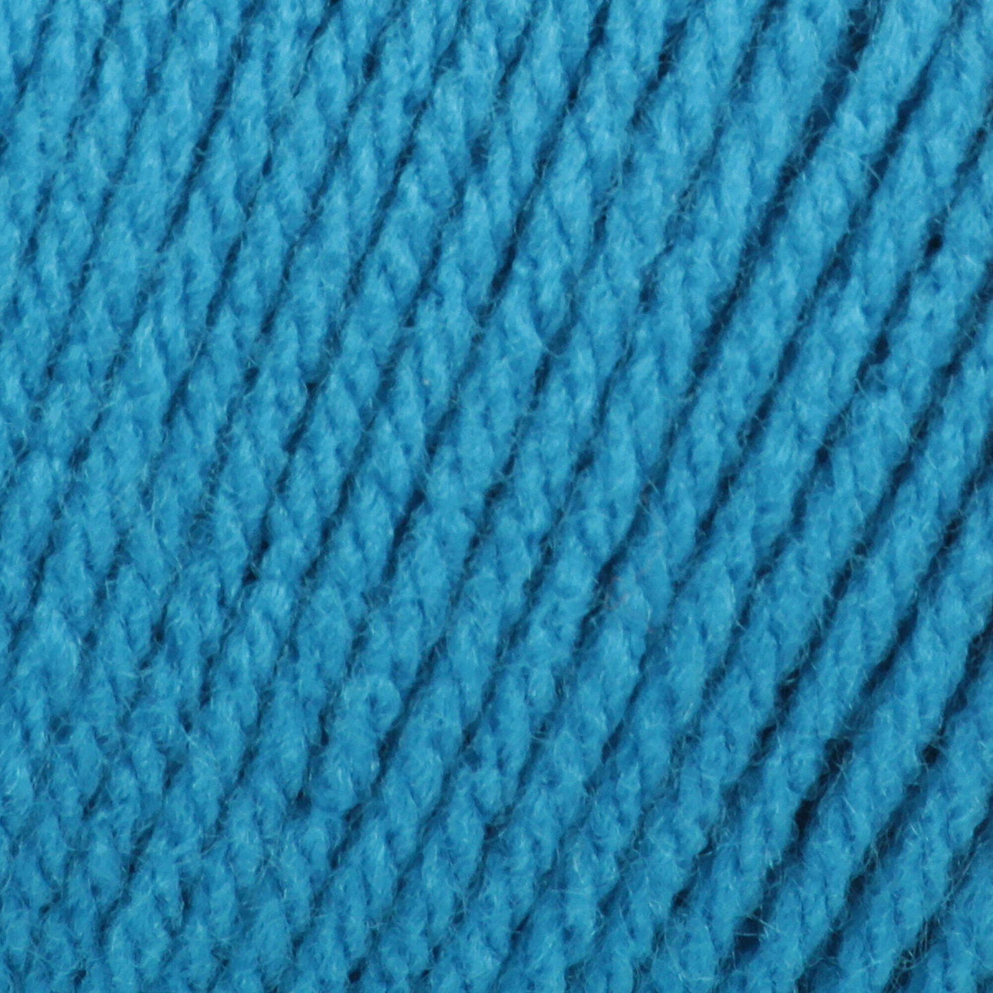 Bernat Super Value Yarn Skein - Peacock