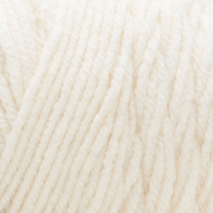 Bernat Premium Yarn Skein - Aran