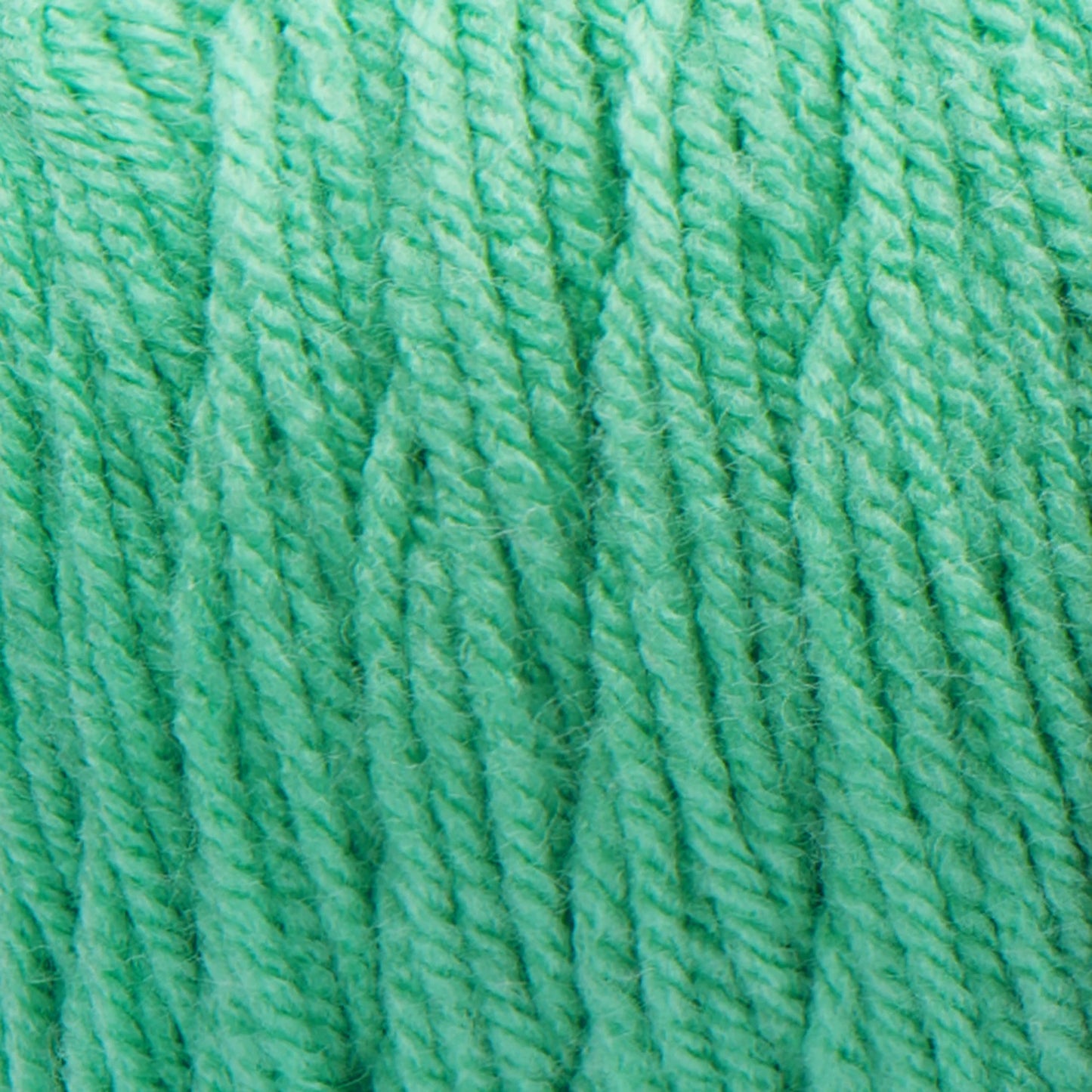 Bernat Premium Yarn - Tropical Turquoise