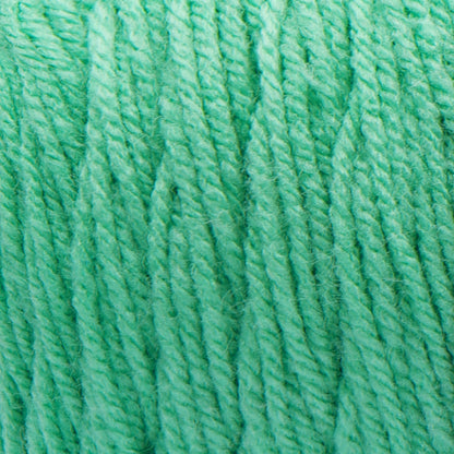 Bernat Premium Yarn - Tropical Turquoise