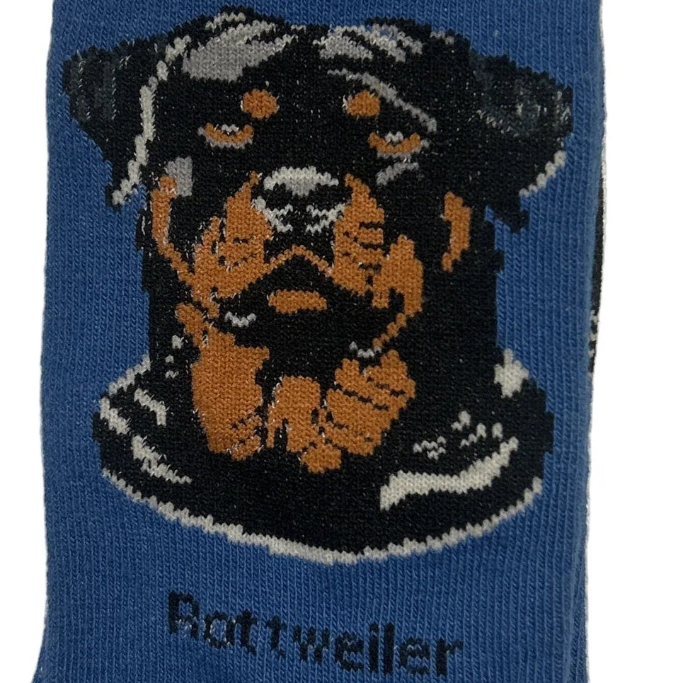 Blue sock with Rottweiler design and 'Socks By Lucy' packaging on a white background