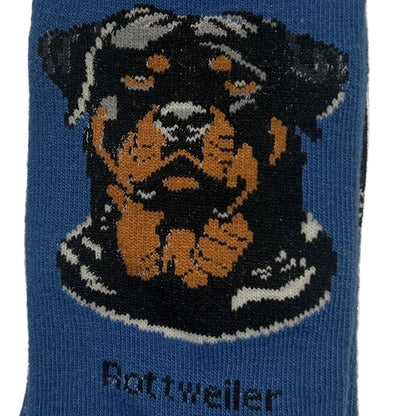 Blue sock with Rottweiler design and 'Socks By Lucy' packaging on a white background