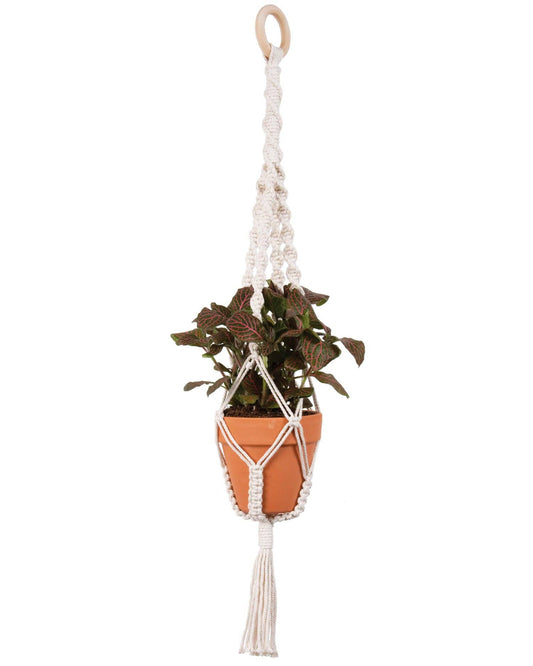 Make-ramé™ Macrame Plant Hanger Kit - Four Spiral Twists