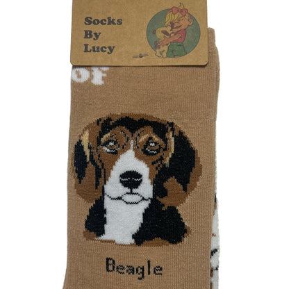 Beige sock with beagle design and brand label on a light gray background