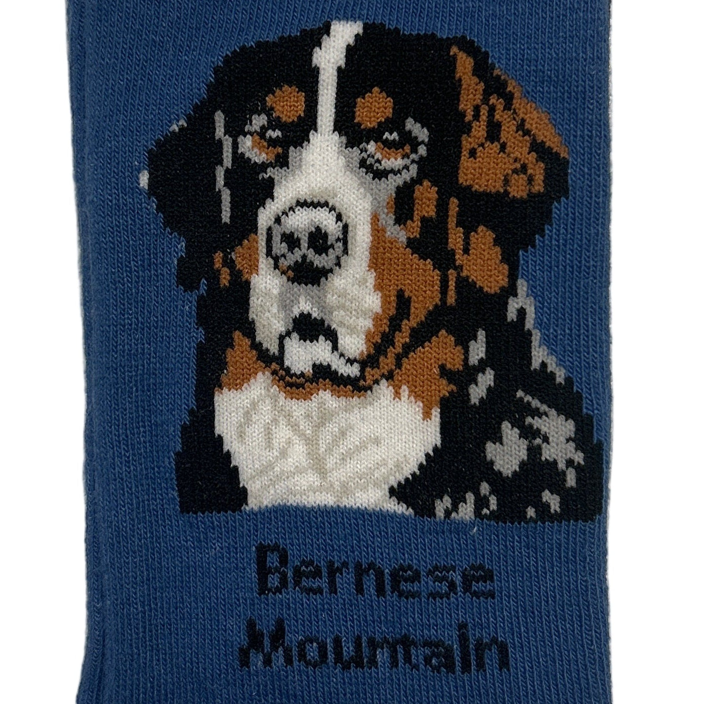 Sock with a Bernese Mountain dog design and text on a blue background