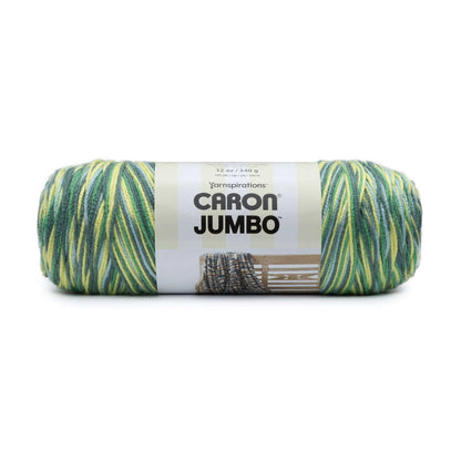 Caron Jumbo Print Lemon Grove Yarn Skein 12oz