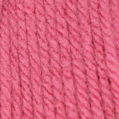 Caron One Pound Yarn Skein - Rose