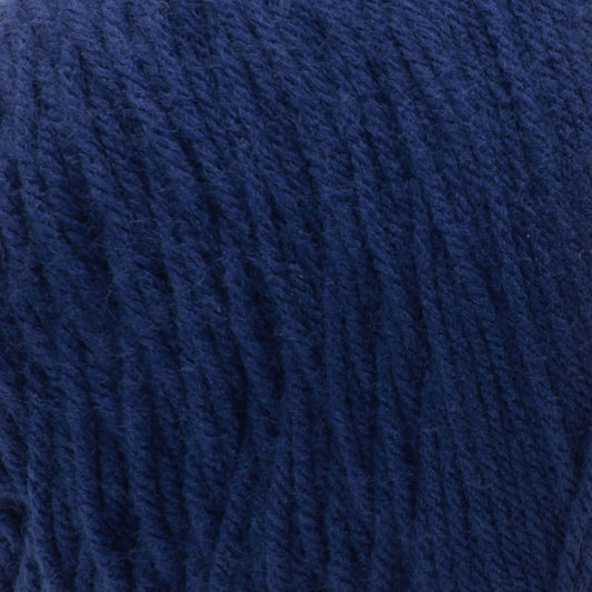 Caron One Pound Yarn Skein - Midnight Blue