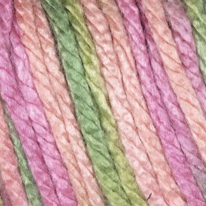 Caron Simply Soft Paint Yarn - Rose Garden