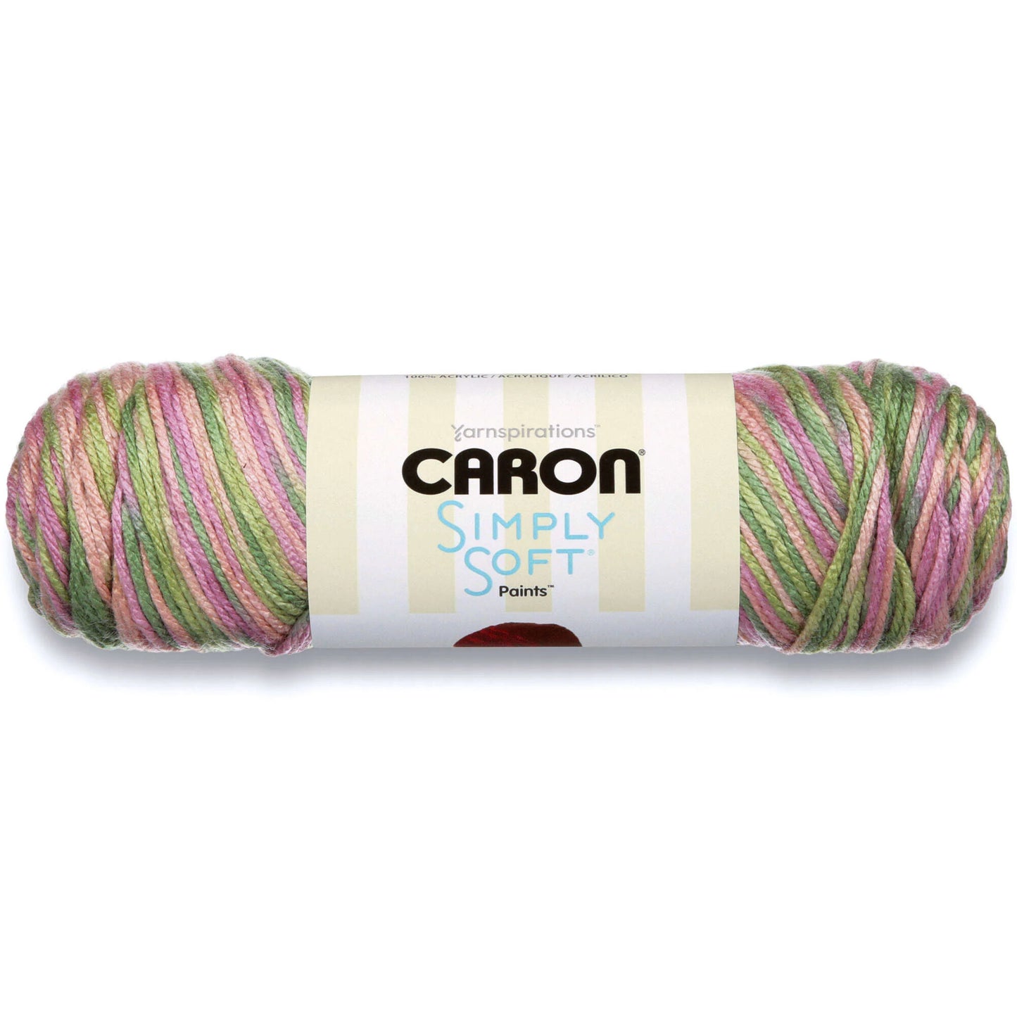 Caron Simply Soft Paint Yarn - Rose Garden
