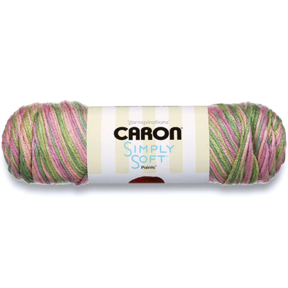 Caron Simply Soft Paint Yarn - Rose Garden