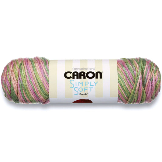 Caron Simply Soft Paint Yarn - Rose Garden