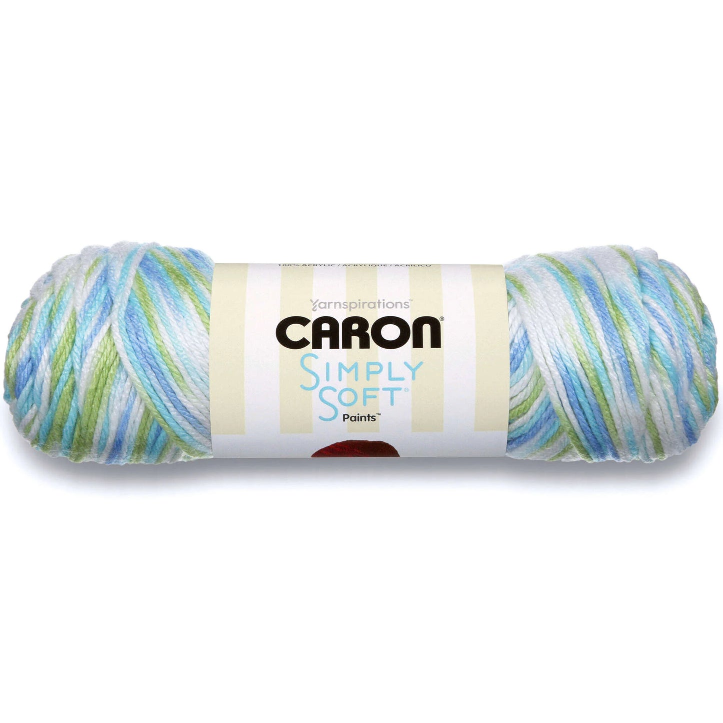 Caron Simply Soft Paint Yarn - Funny Boy