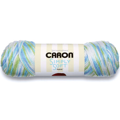 Caron Simply Soft Paint Yarn - Funny Boy