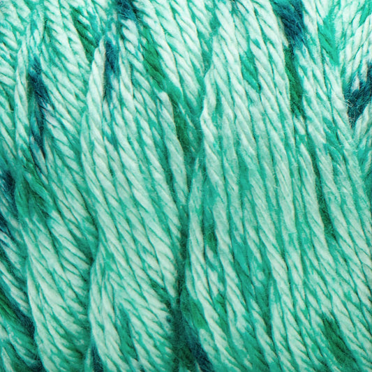 Caron Simply Soft Speckle Yarn - Riviera