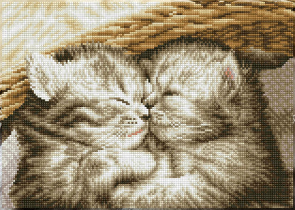 Little Darlings (Square)- Diamond Dotz Art Kit - 16” x 11”