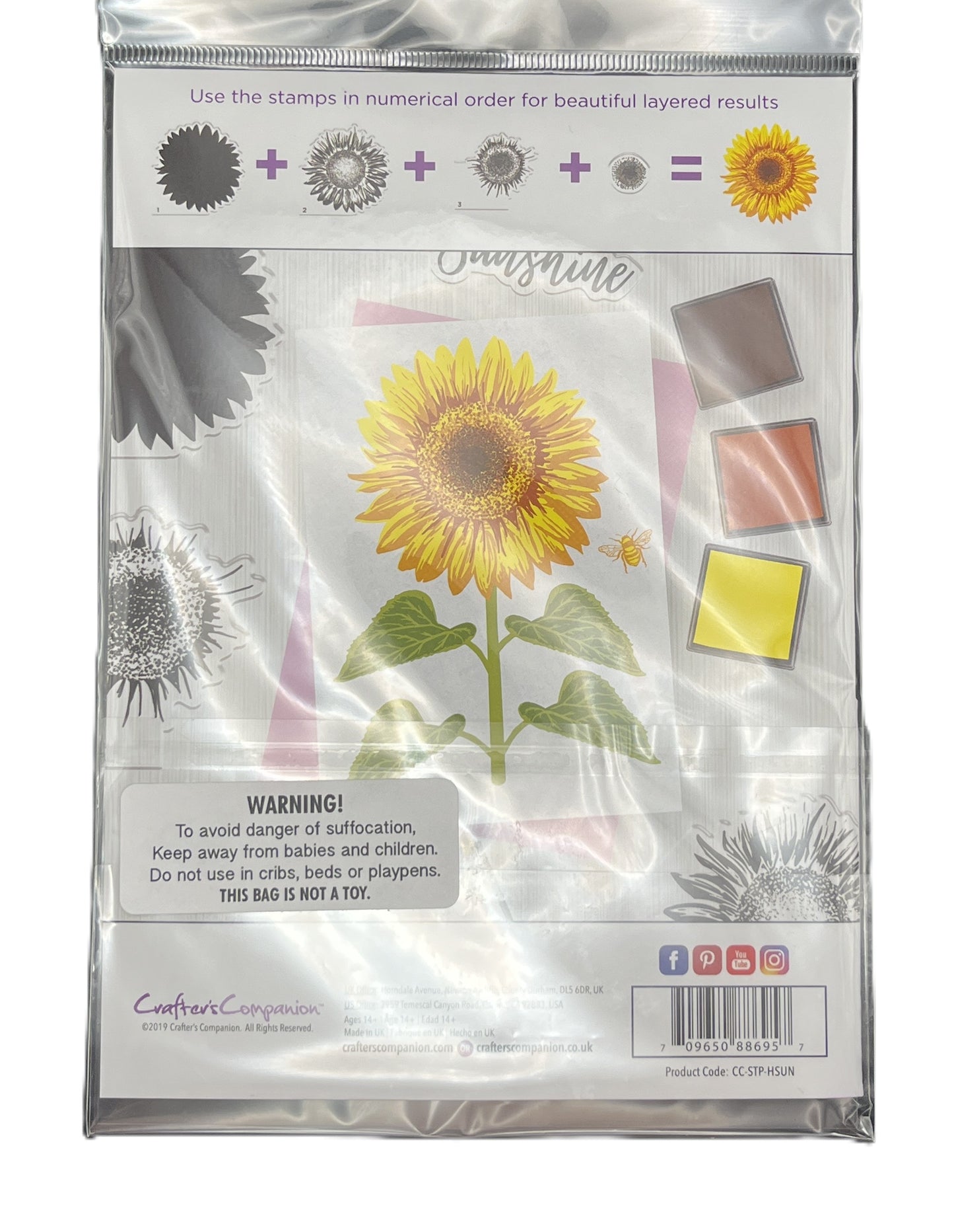 Packaged sunflower stamp set with clear plastic cover