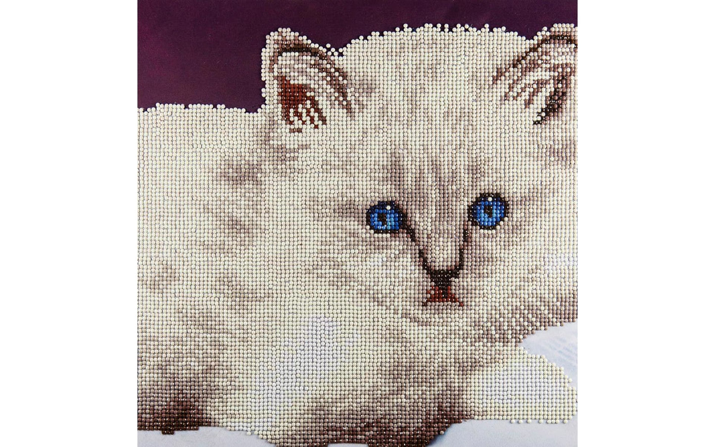 White Cat - Diamond Painting Art Kit 12" x 12"