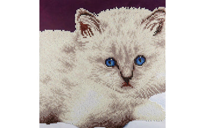 White Cat - Diamond Painting Art Kit 12" x 12"